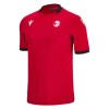 Camisola Georgia Homen Equipamento 3ª Euro 2024